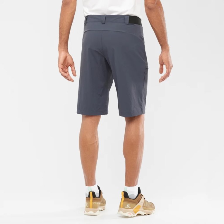 Navy Salomon Wayfarer Men's Shorts | IE NY0352